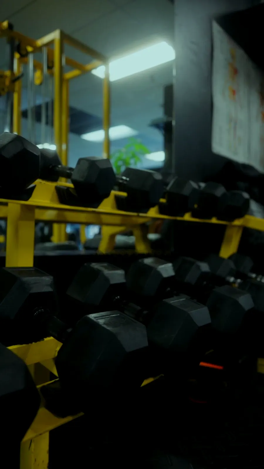 Dumbbell rack